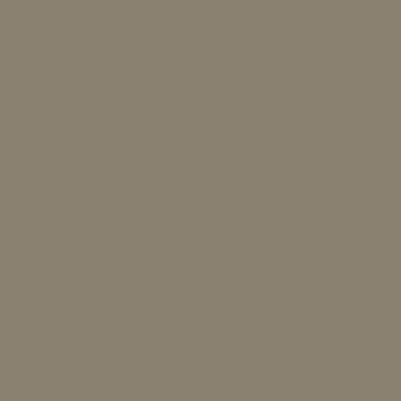 Light Taupe, BT9