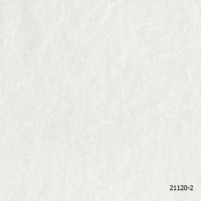 INTRO