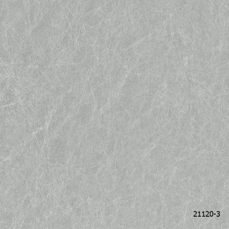 INTRO
