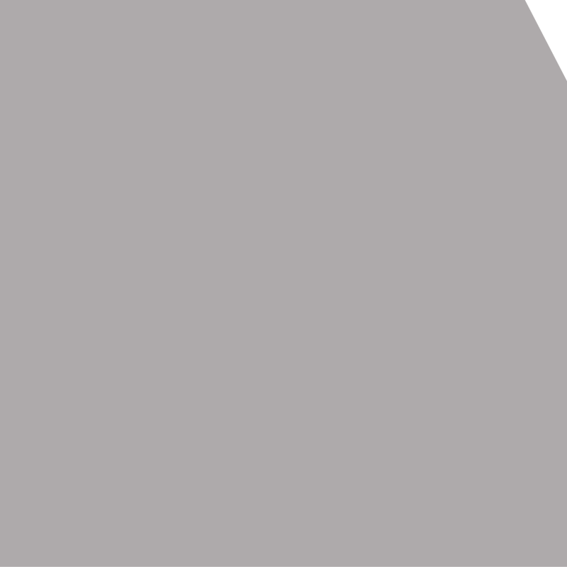 Moonlight Grey (10ft)