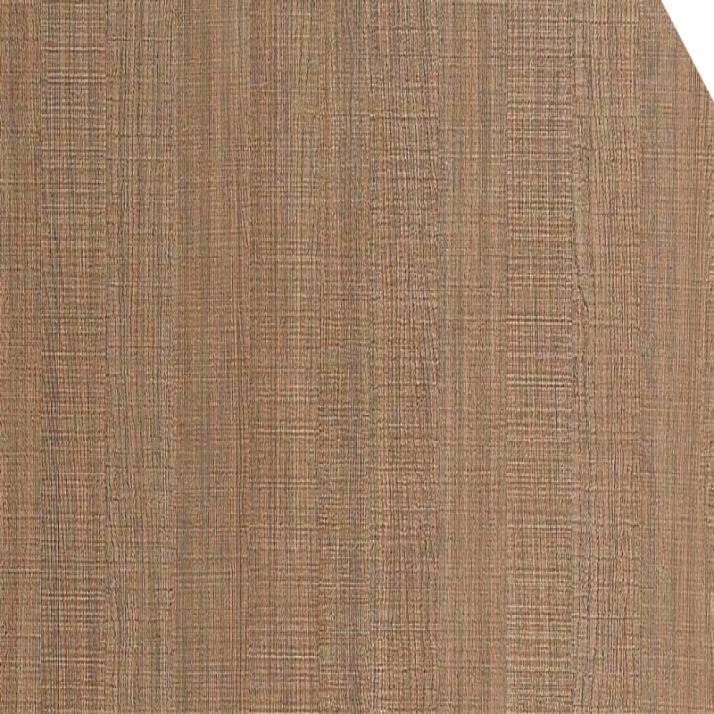 Tan Oak