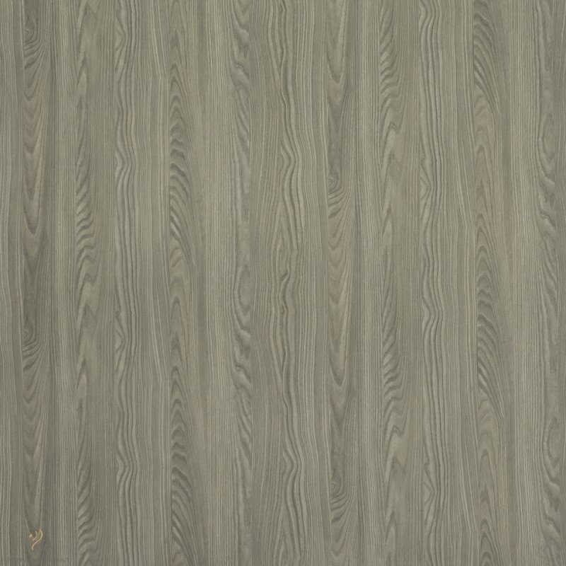 แผ่นวีเนียร์ สี Wird Ash Grey