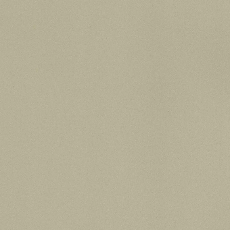 INDOOR-SYNTHETIC LEA