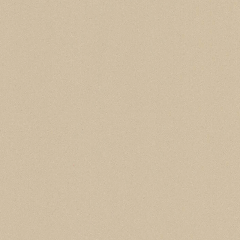 INDOOR-SYNTHETIC LEA