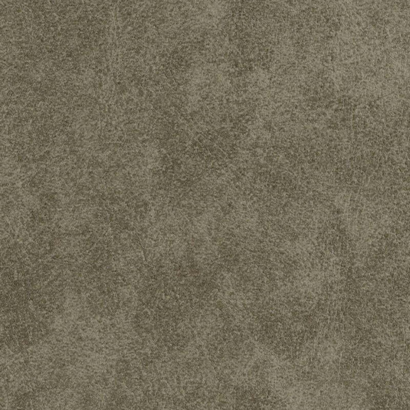INDOOR-SYNTHETIC LEA