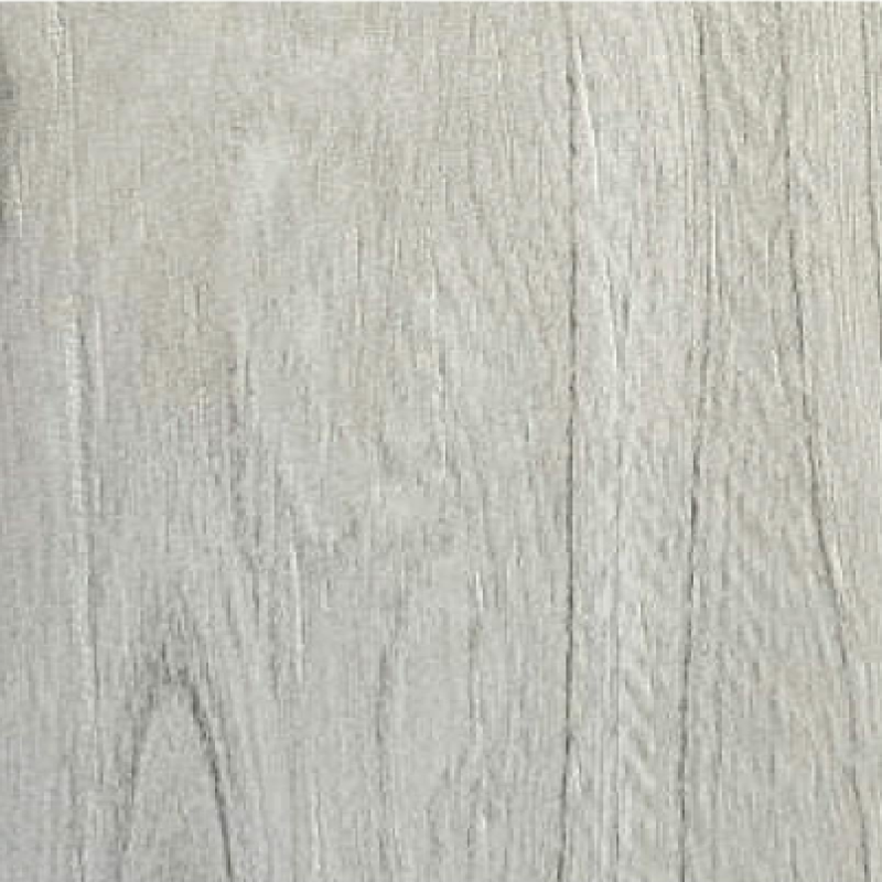 Acer Dim Grey