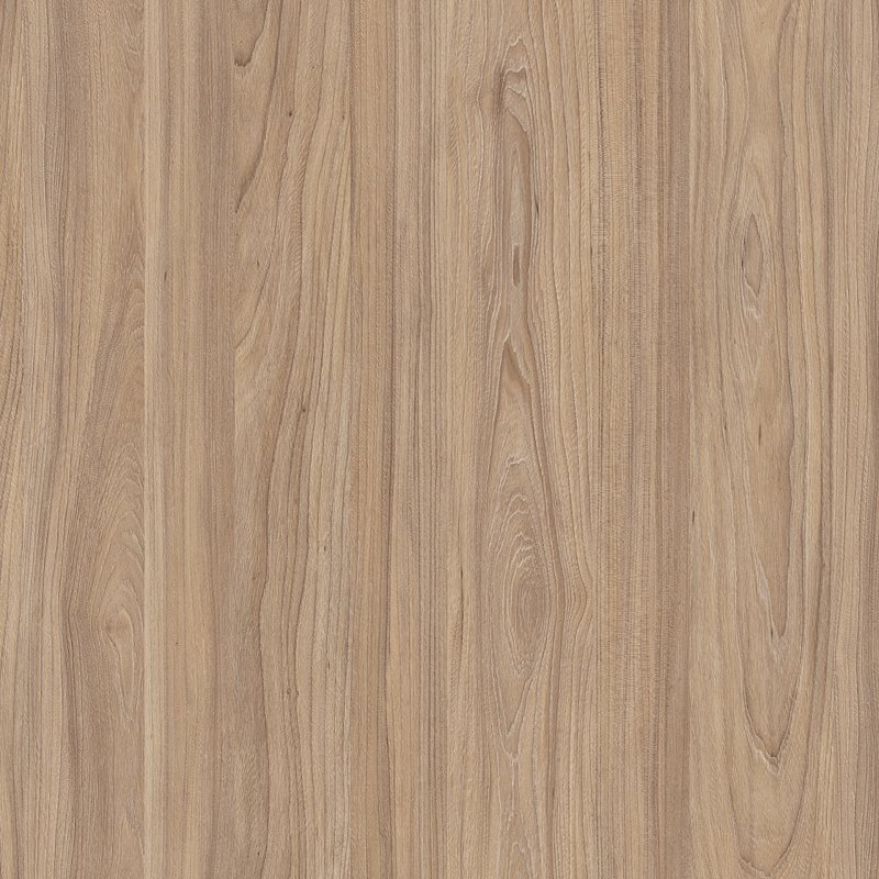 Swiss Elm Amber-Swiss Elm