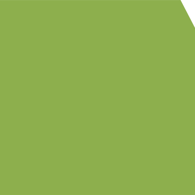 Lime Fizz