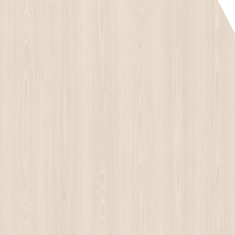 Faint Beech