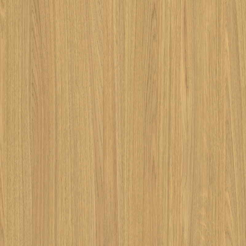 Webster Oak