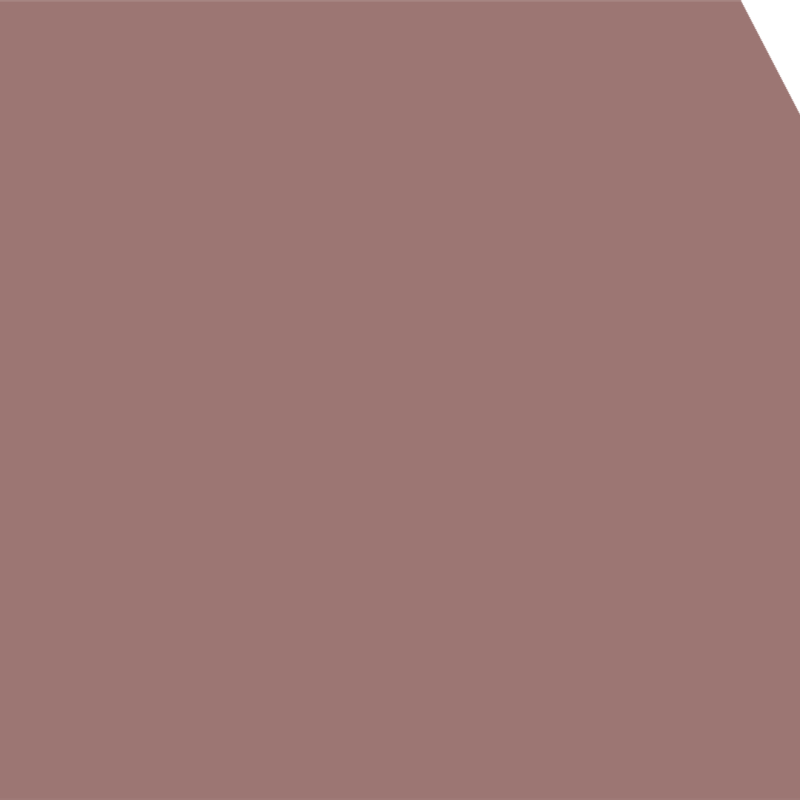 Warm Blush