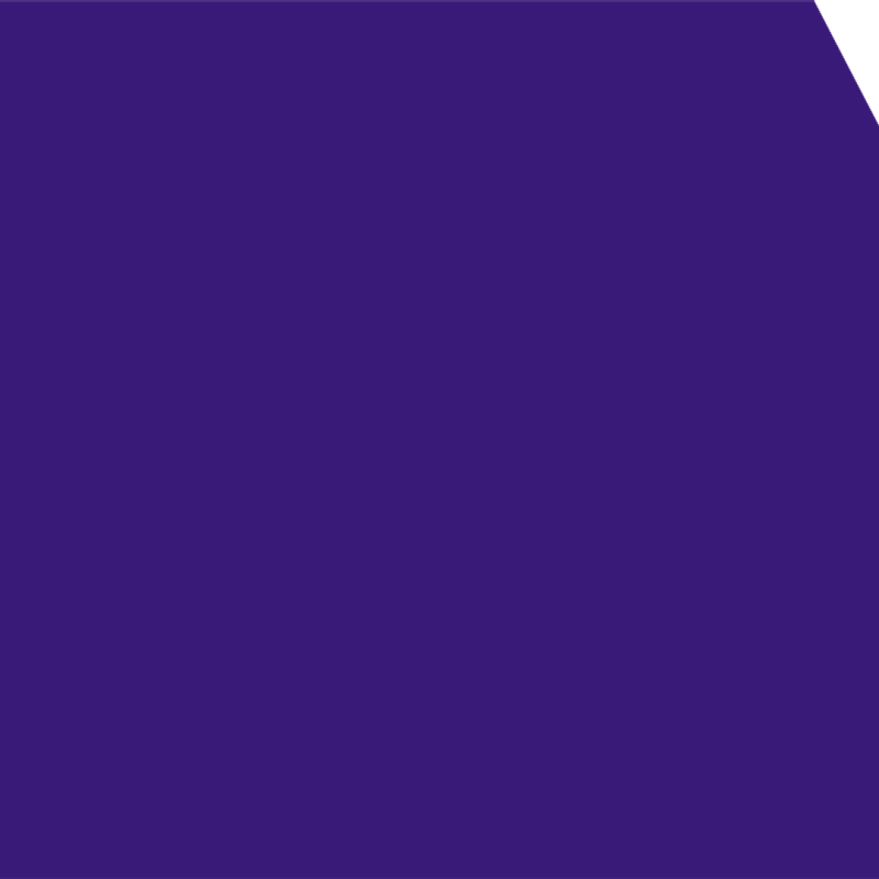 Dark Violet