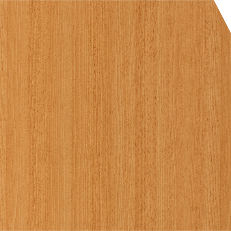 Virginia Beech