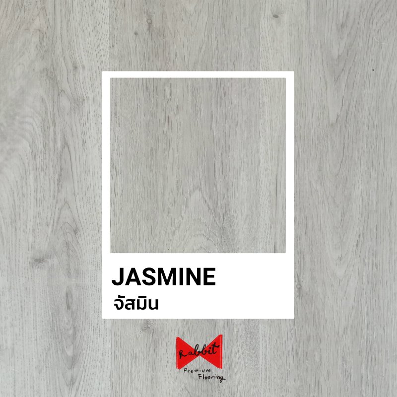 Rabbit_JASMINE