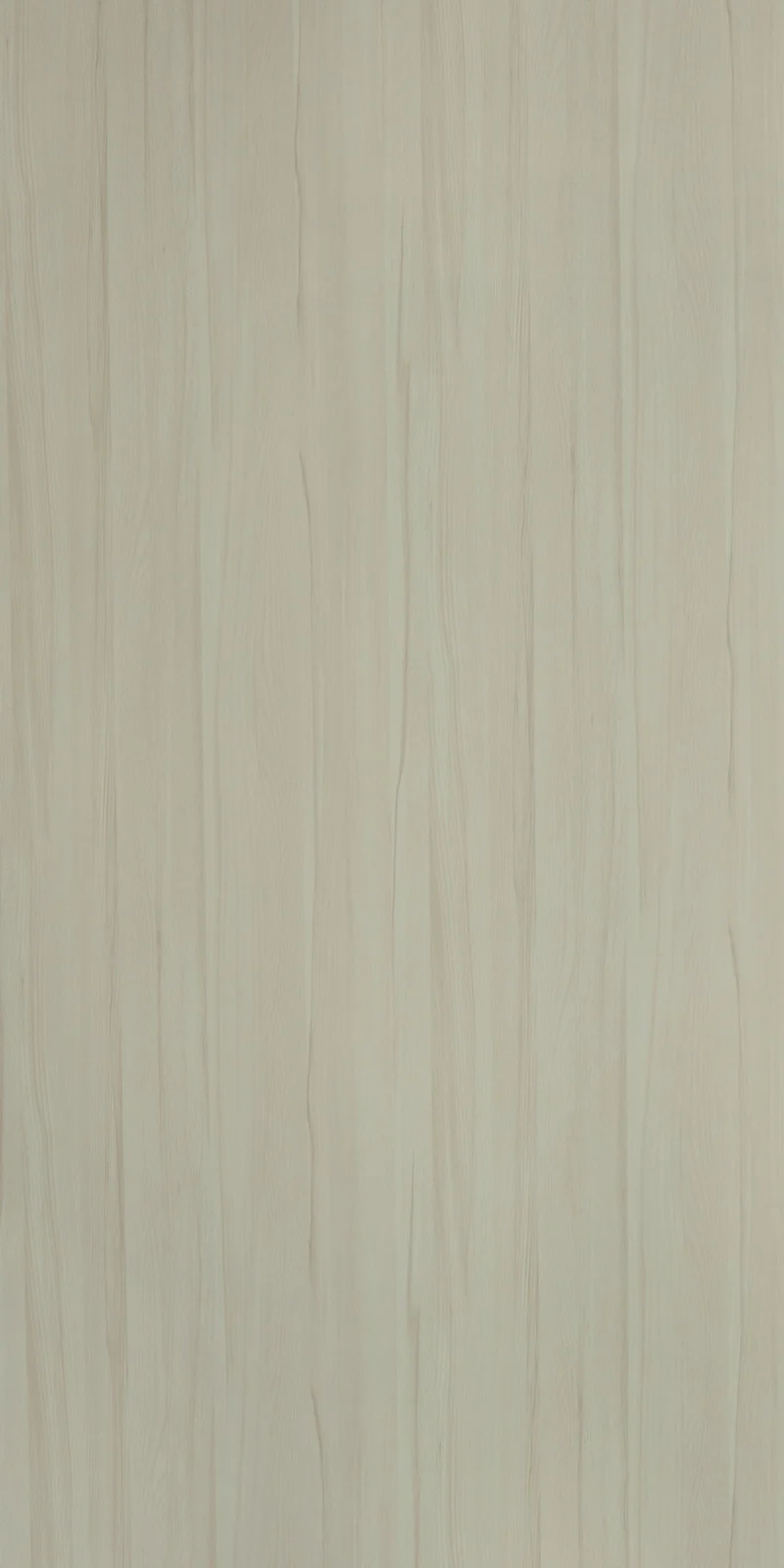 TURIN BEECH
