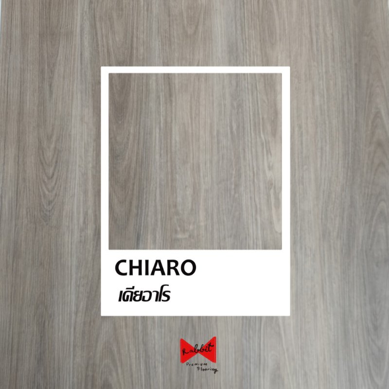 Rabbit_CHIARO