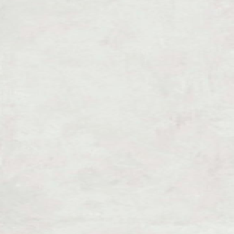 REGAL SYMPHONY BIANCO Surface: Rustic
