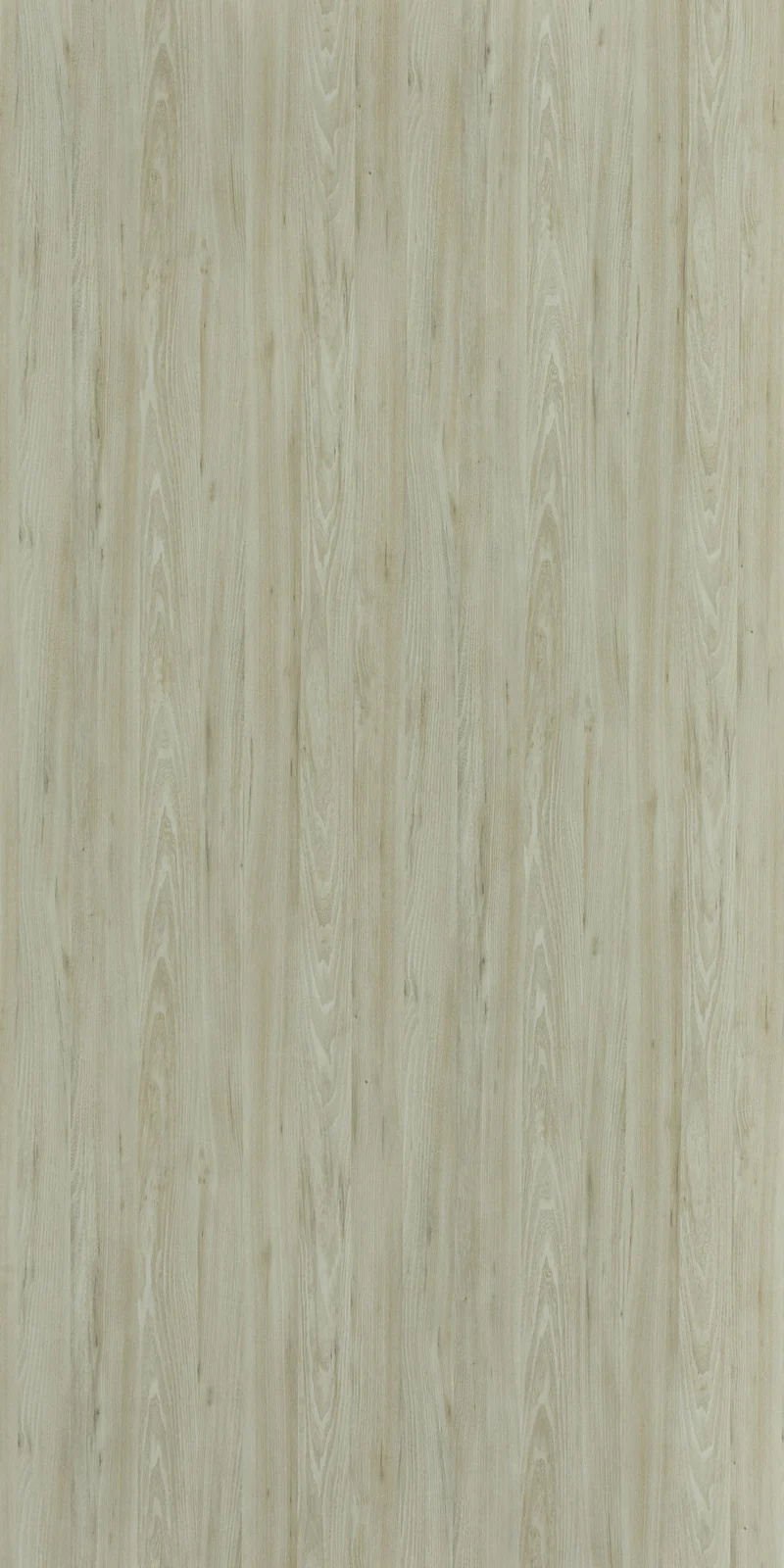 AURORA ELM