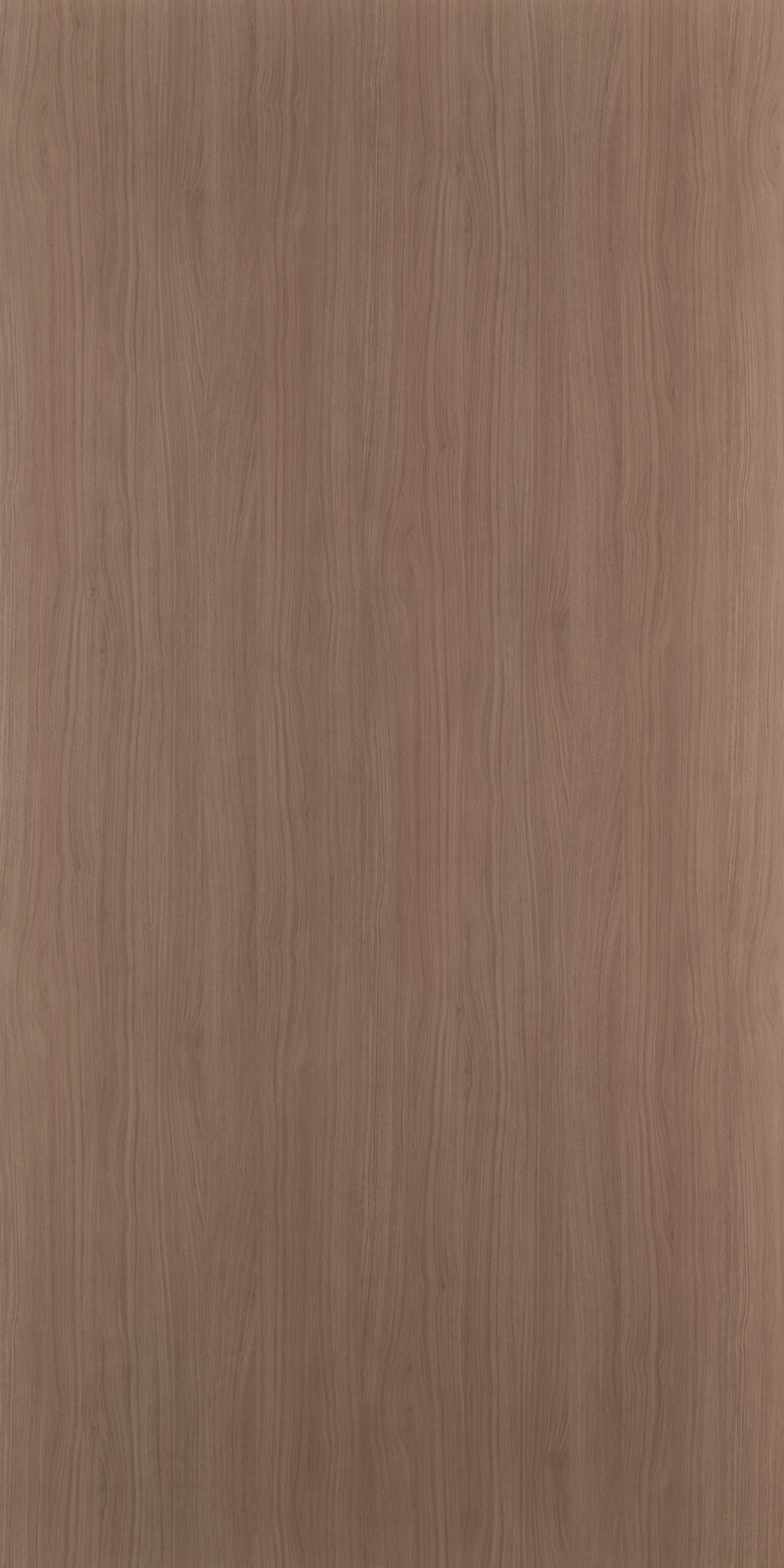 EMMELINE WALNUT