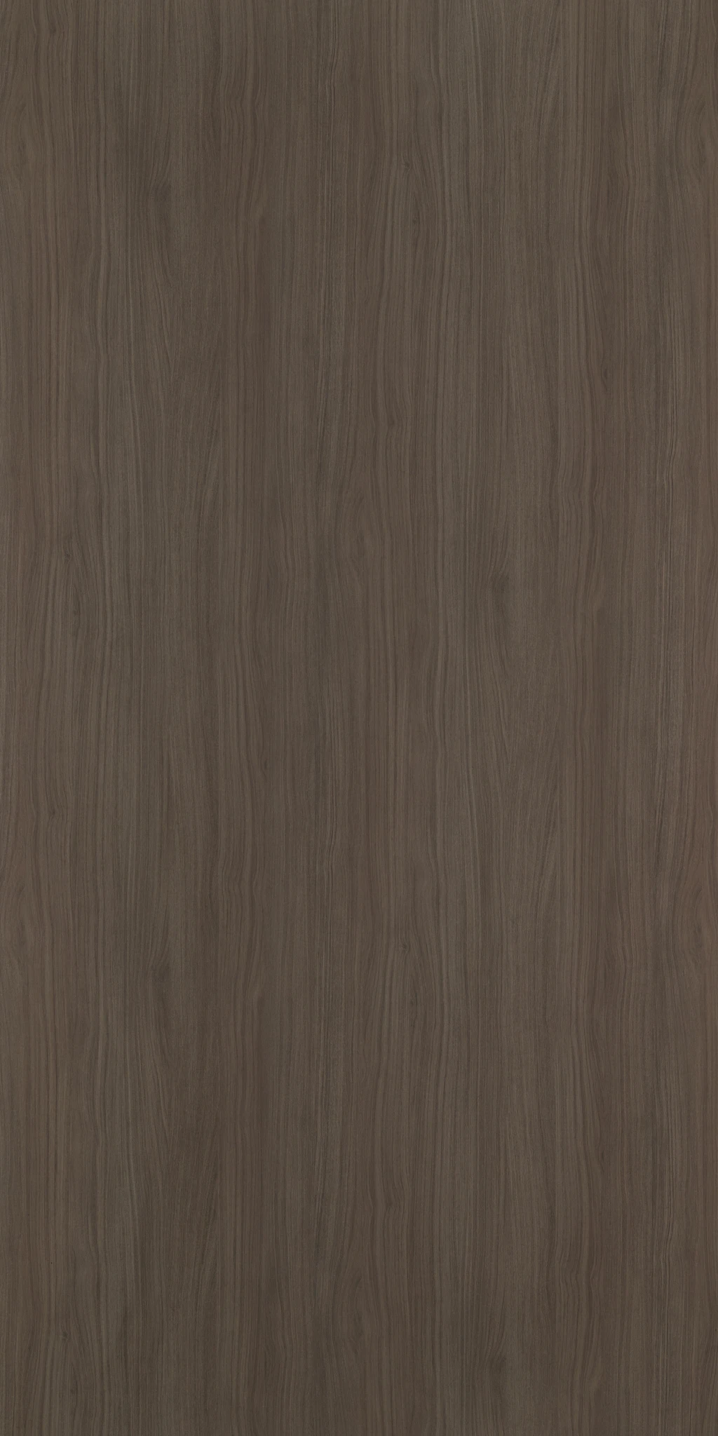 ELEONORA WALNUT