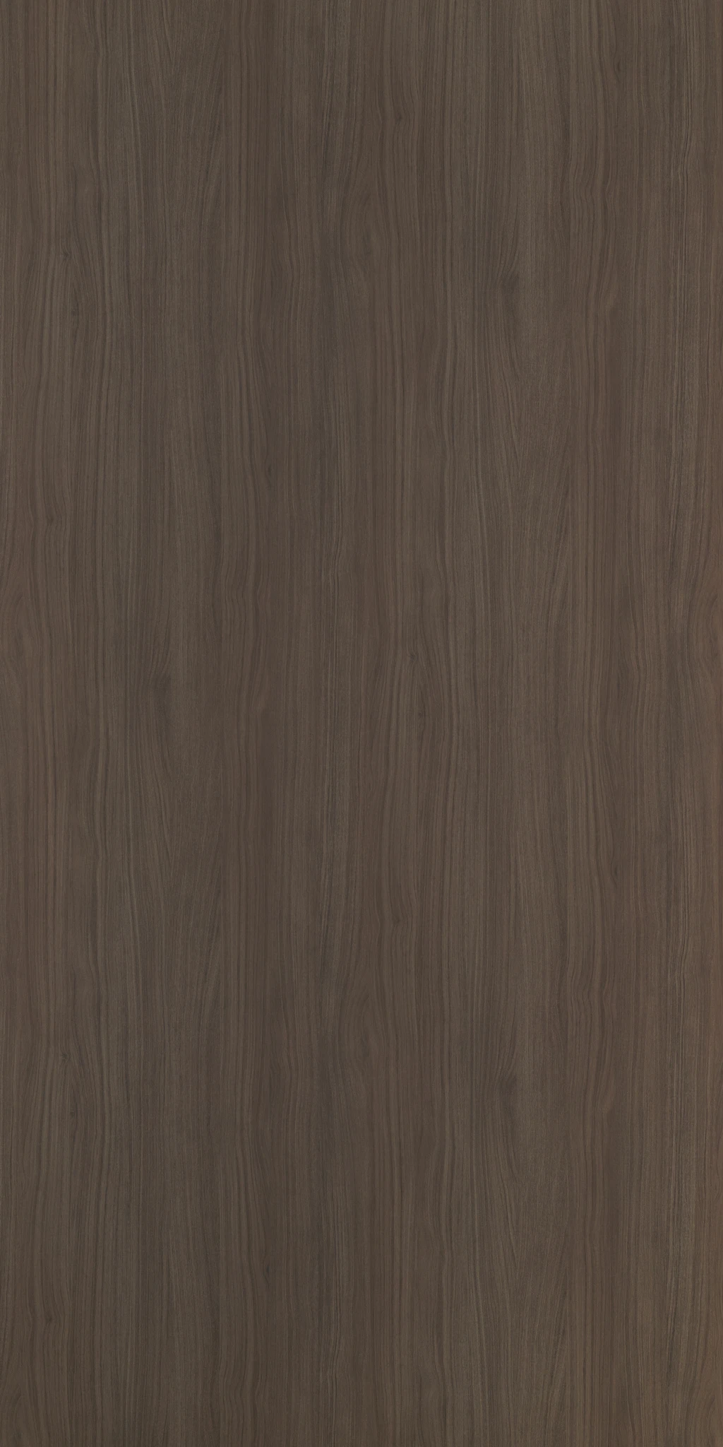 ELEONORA WALNUT