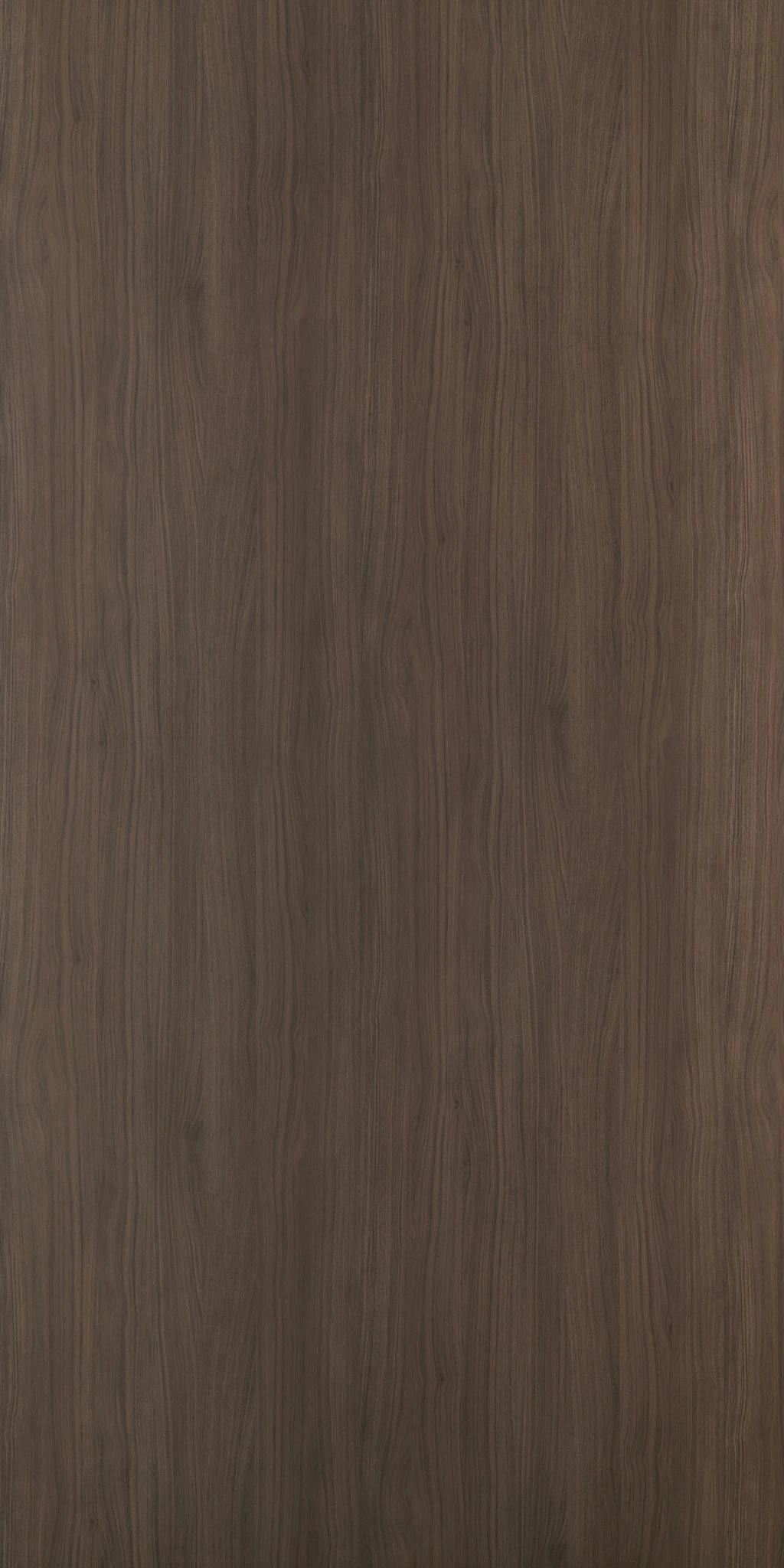ARABELLA WALNUT