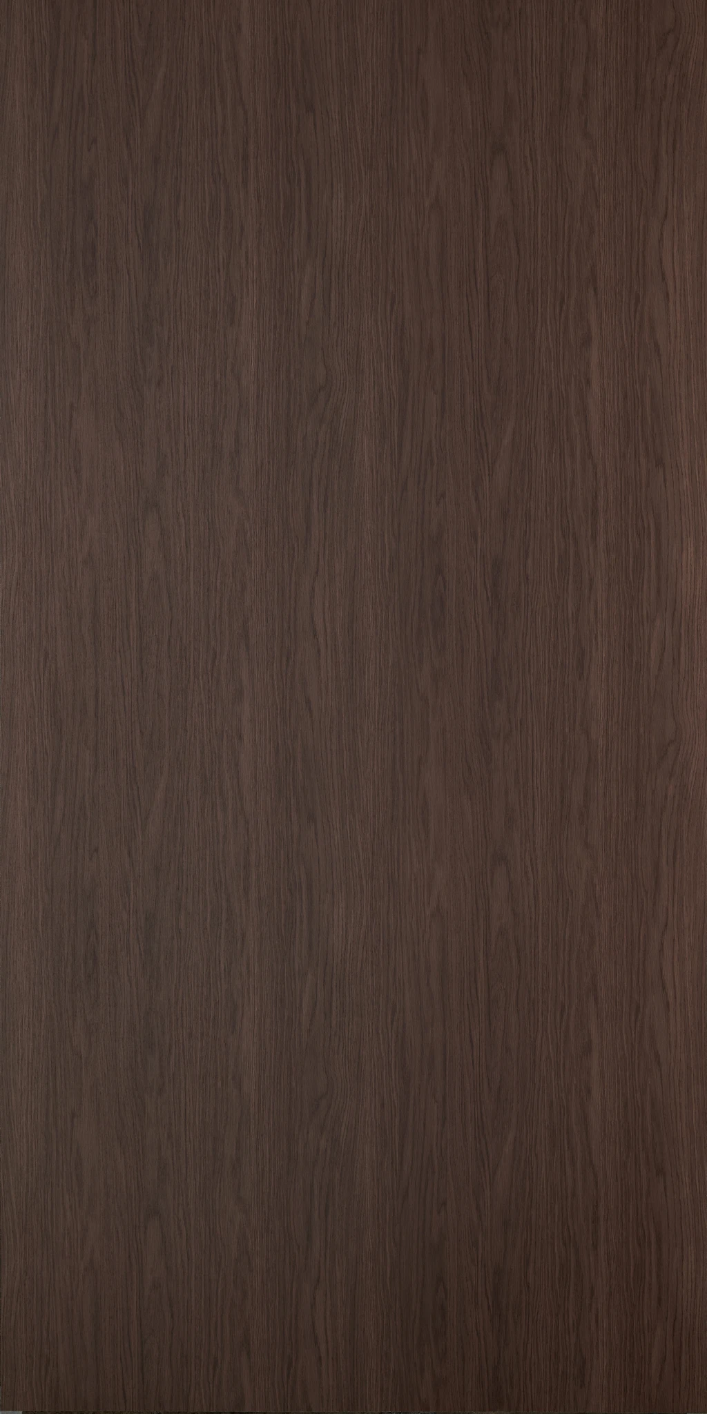 LAVINIA OAK
