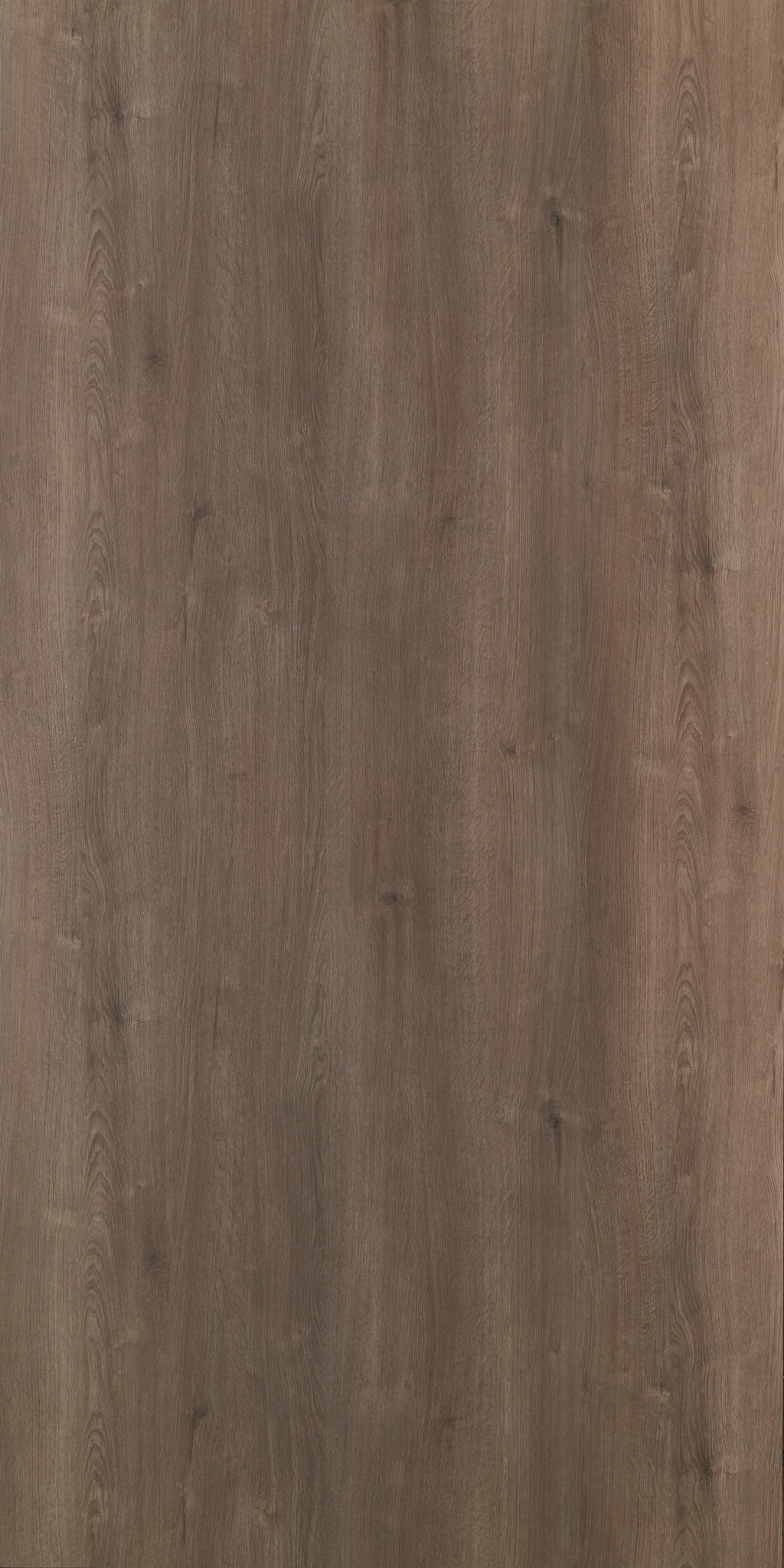 EVANGELINE OAK