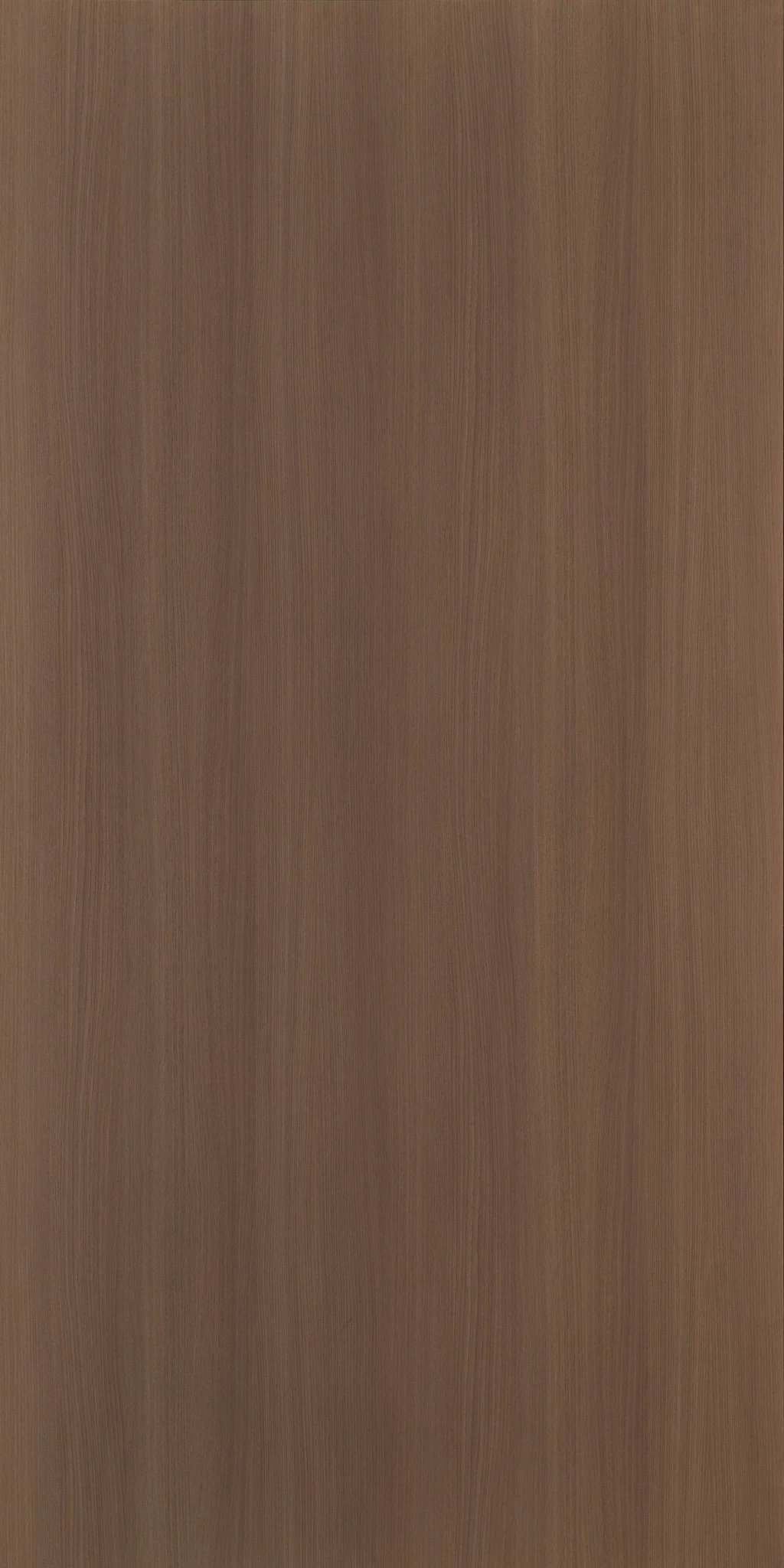 GIULIETTA ELM