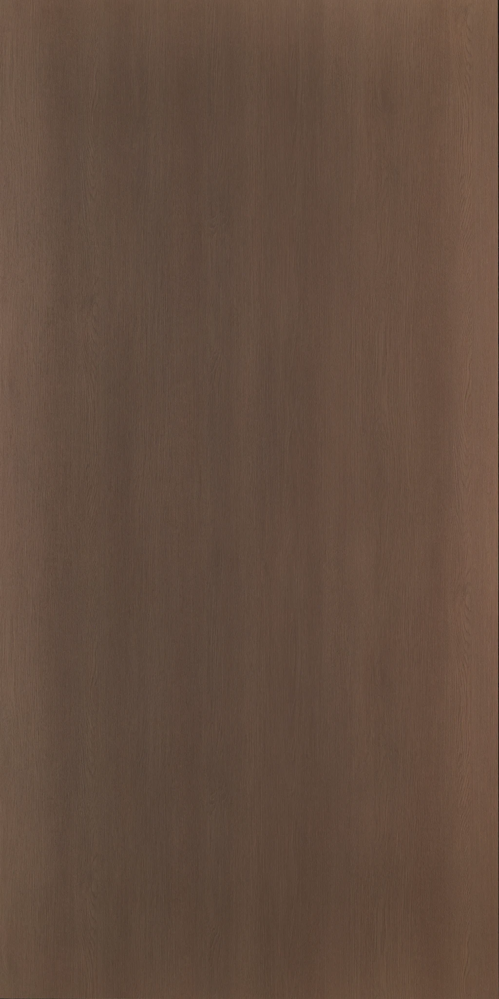 RAMON OAK