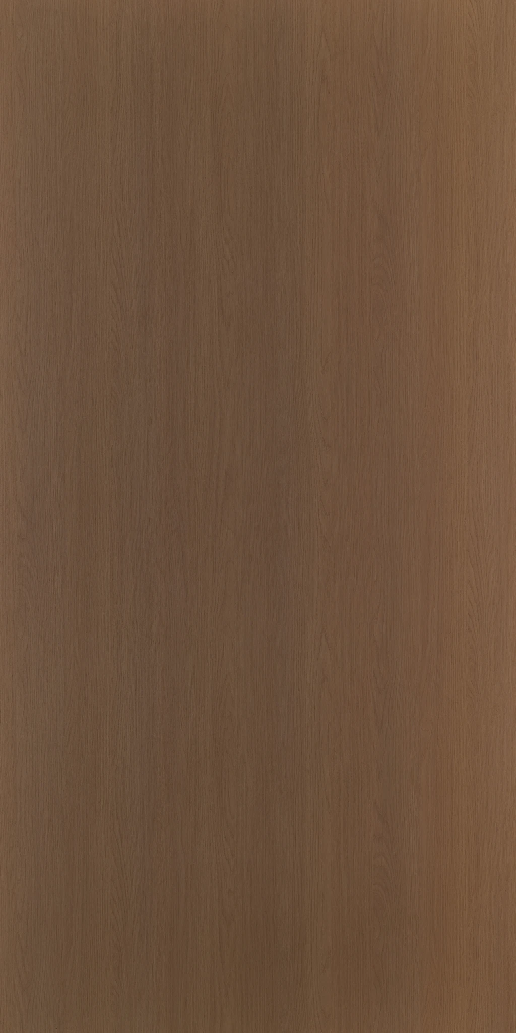 SEAN WALNUT
