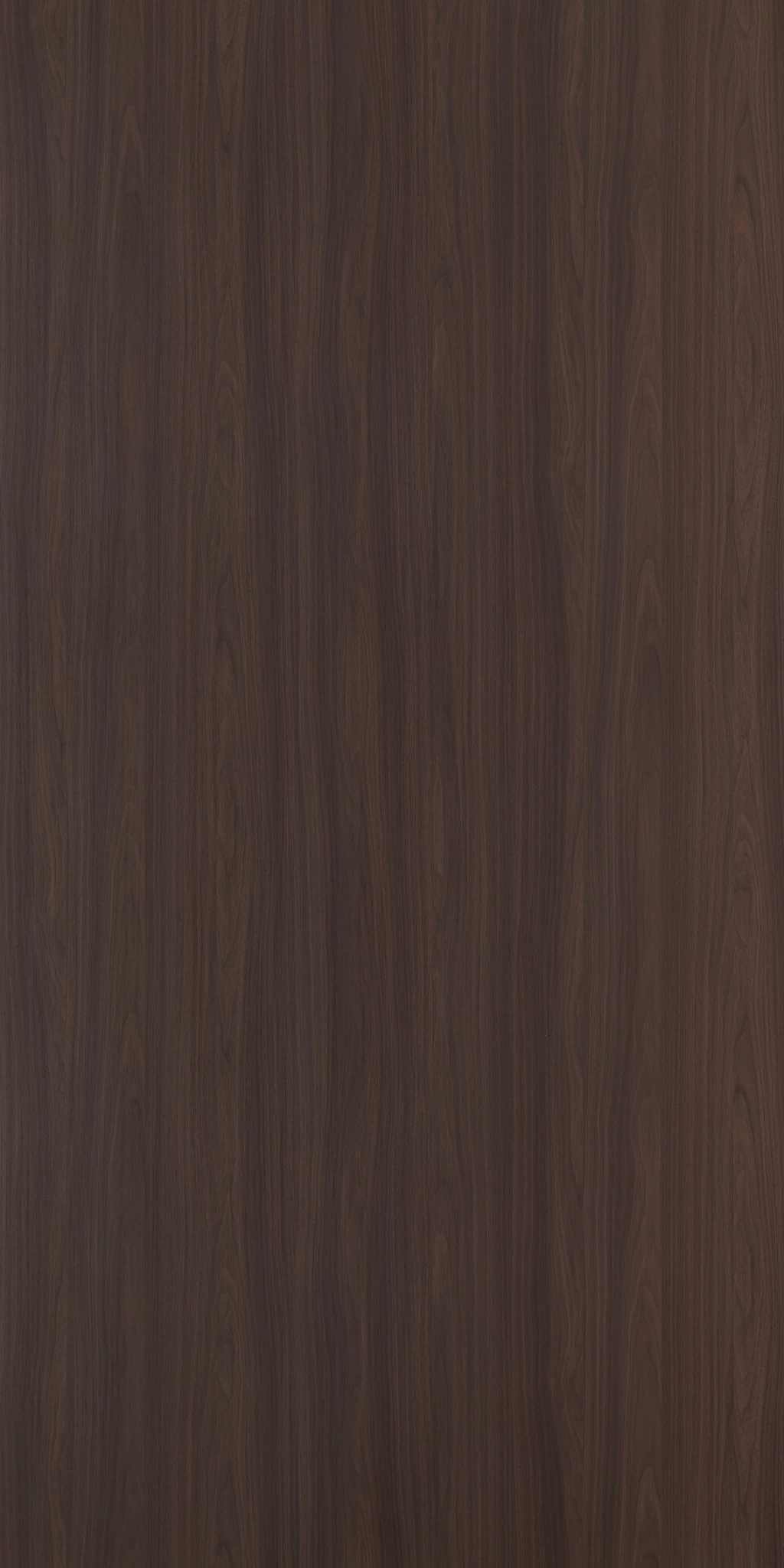 ASTRID WALNUT