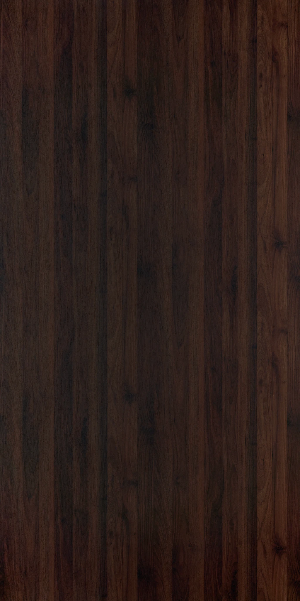SIGMUD WALNUT