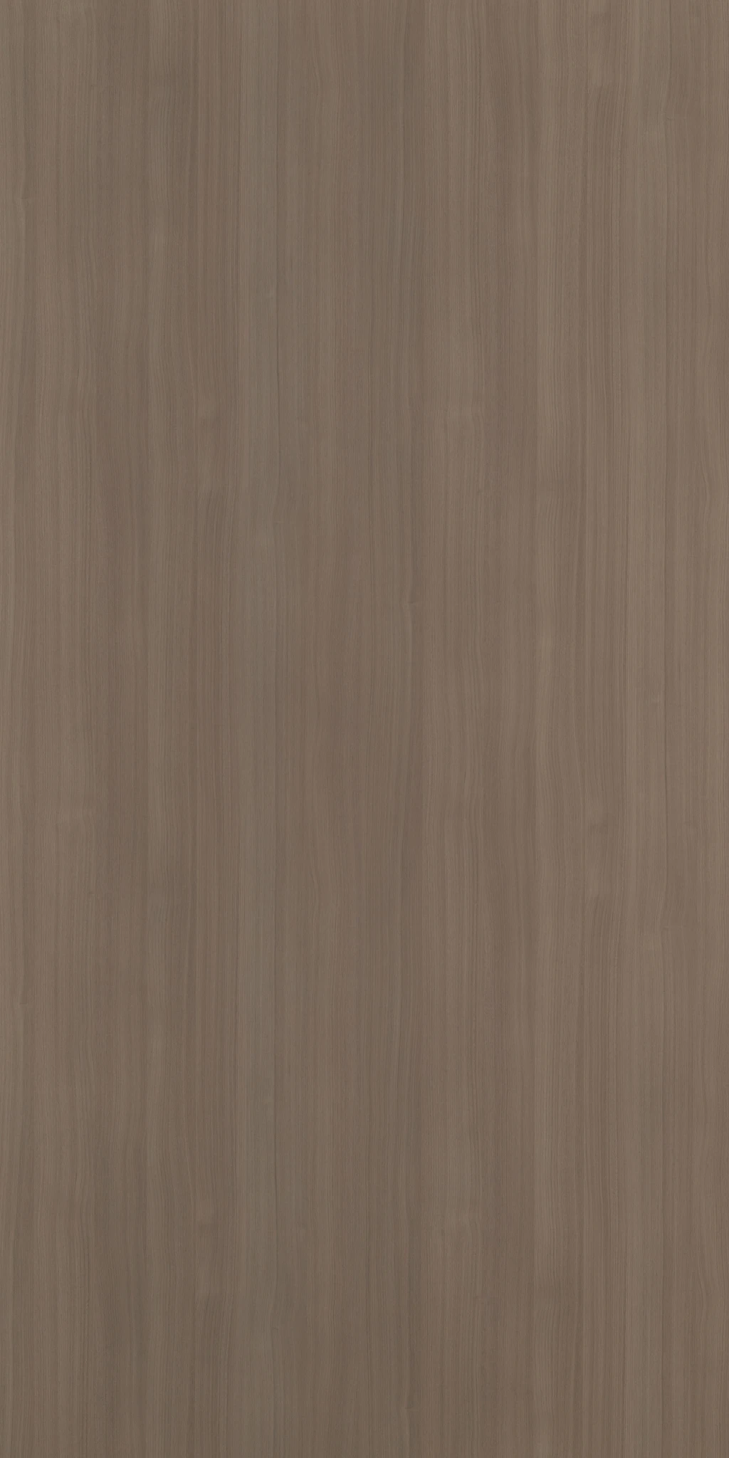 ENSEL WALNUT