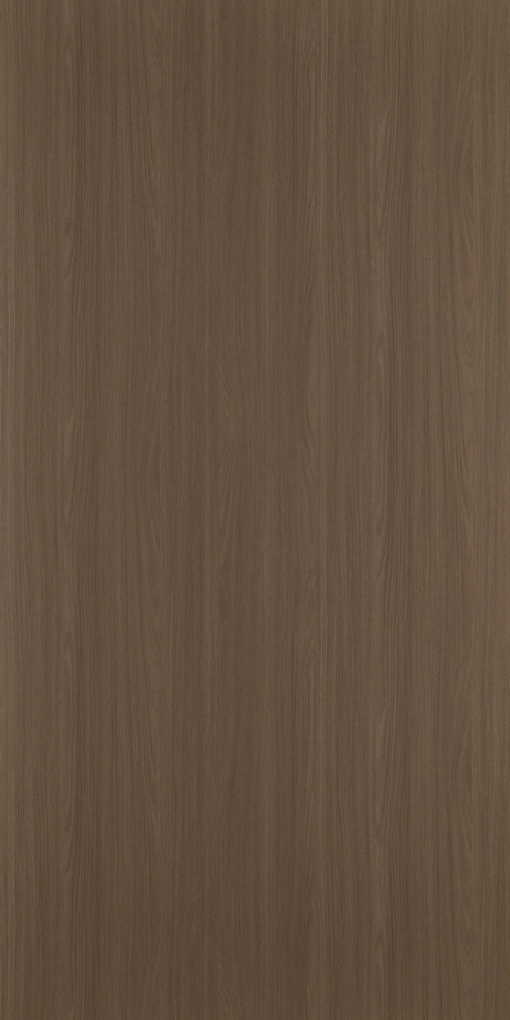CANYON OAK