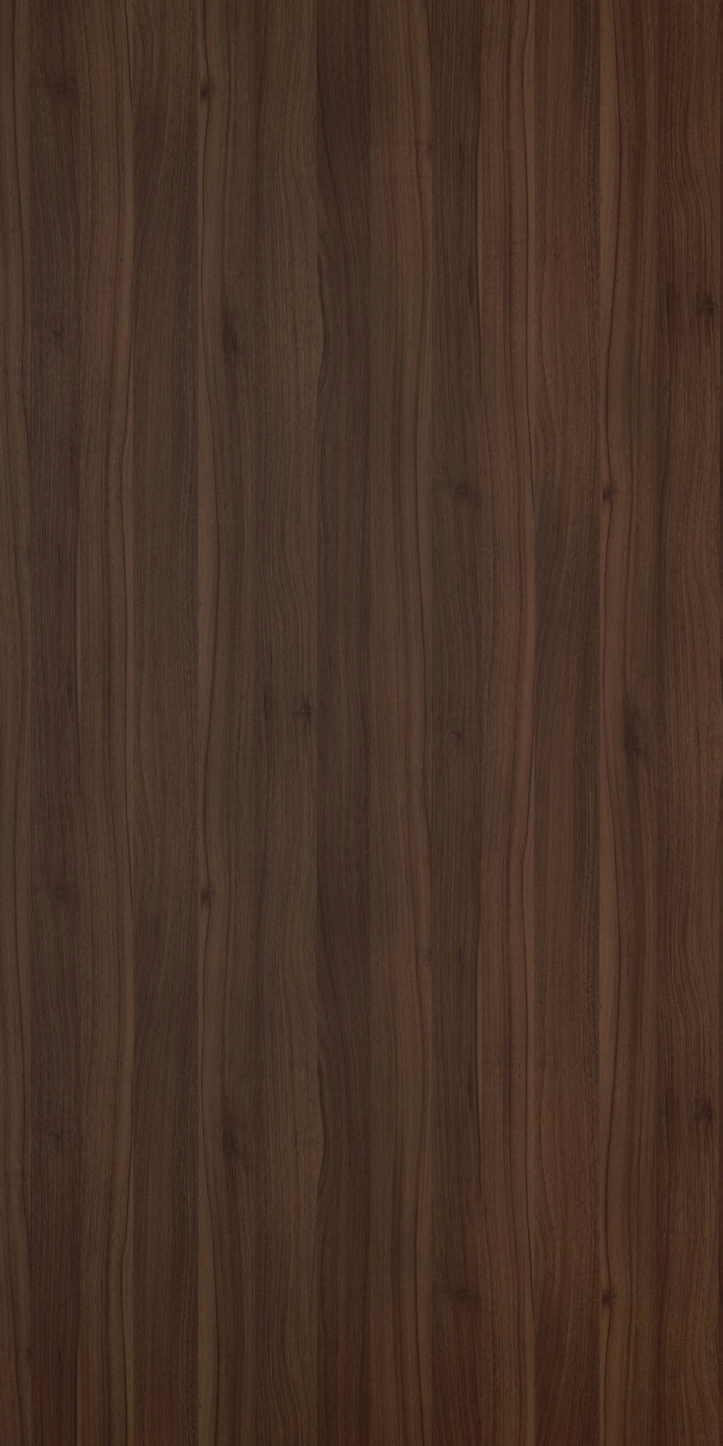 DUNE WALNUT