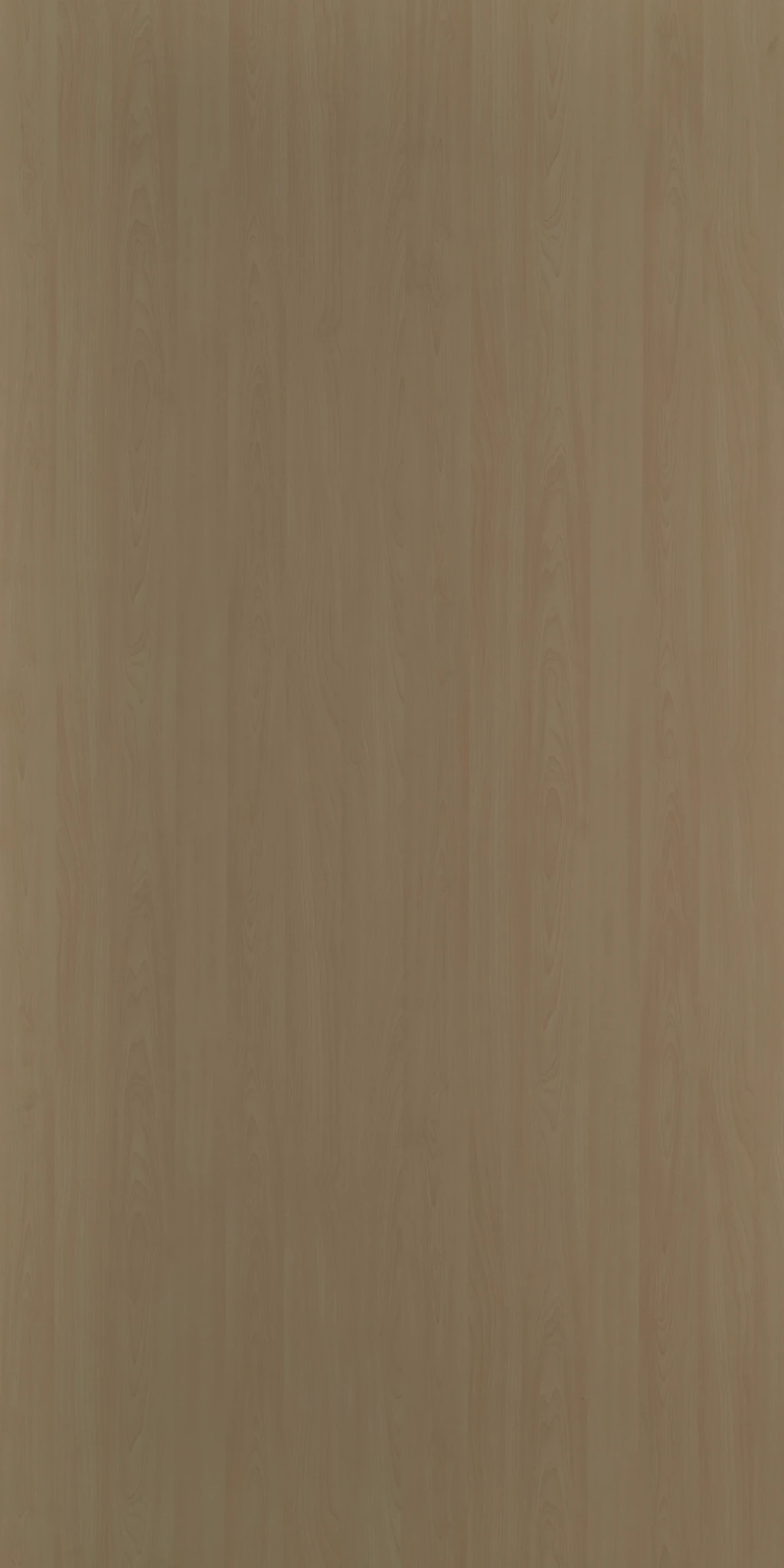 MAPLE