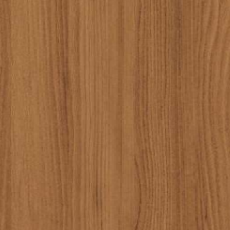 Primera Chestnut