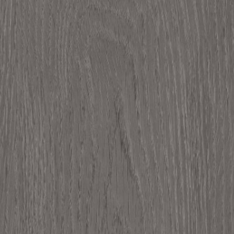 Dauro Oak
