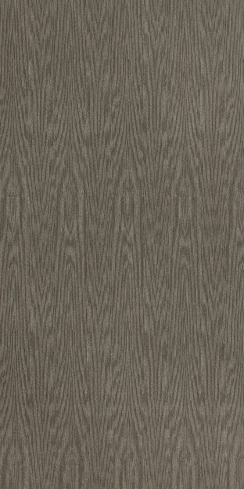 HERMES OAK