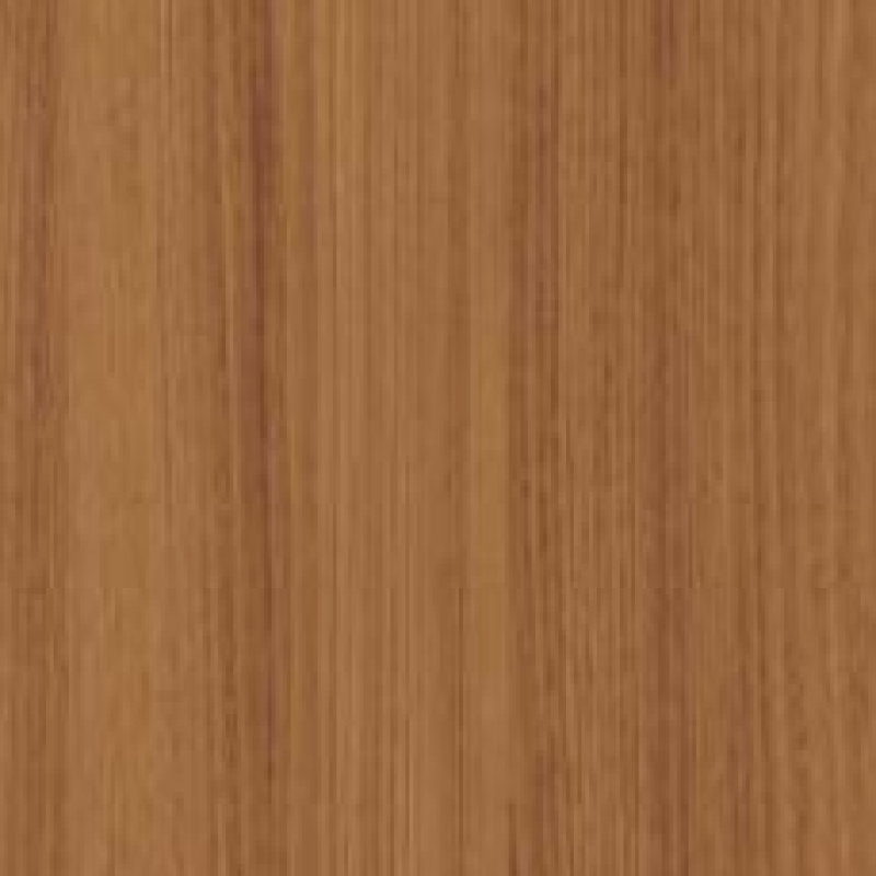 Primera Chestnut