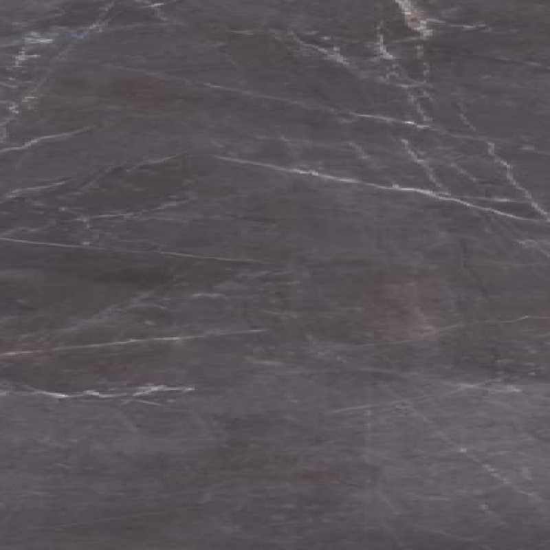 Grey Emprador