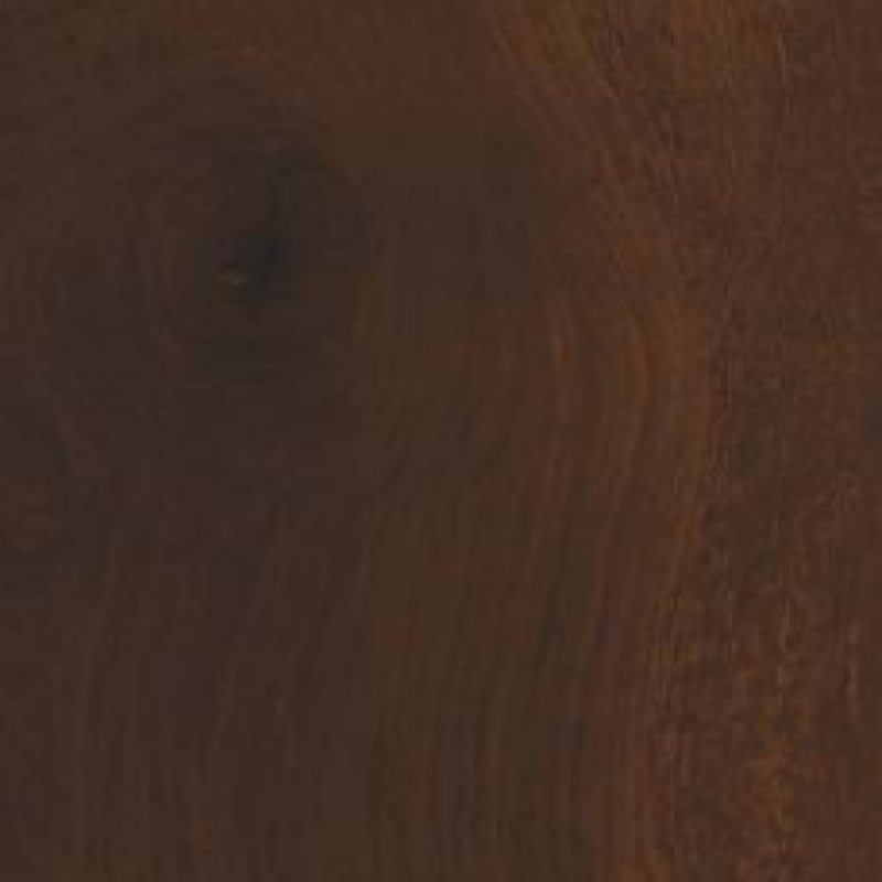 Renaissance Oak