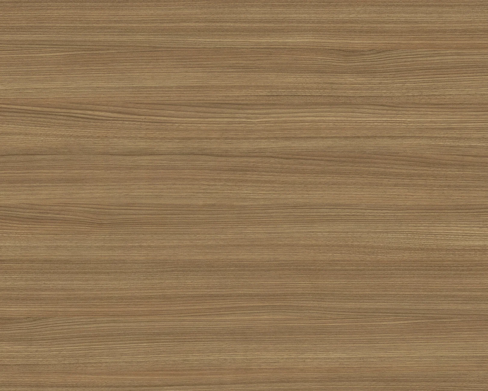 Costa Horizontal Nogal