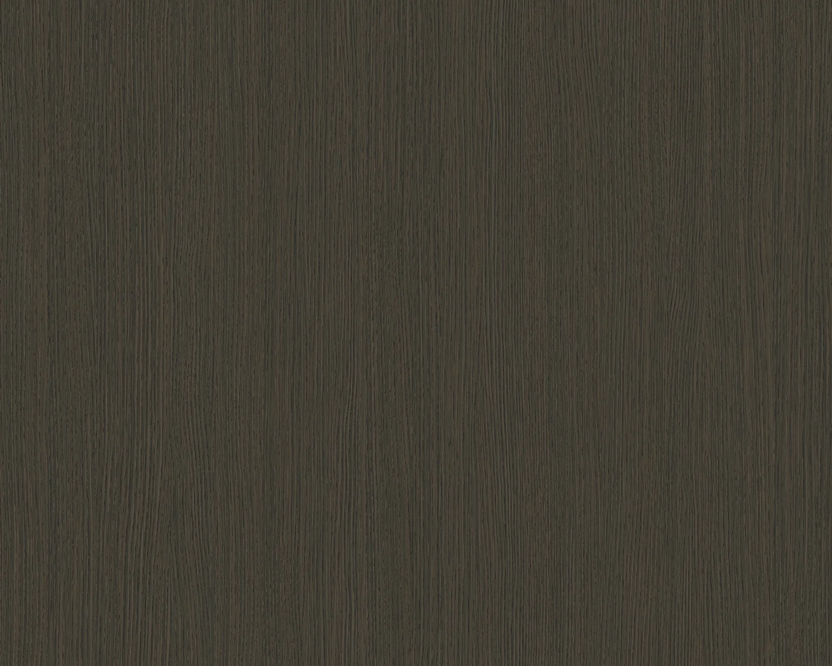 Delfina Giovanni Oak