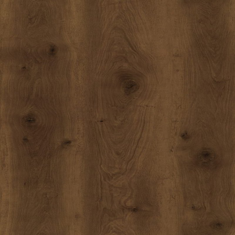 Renaissance Oak