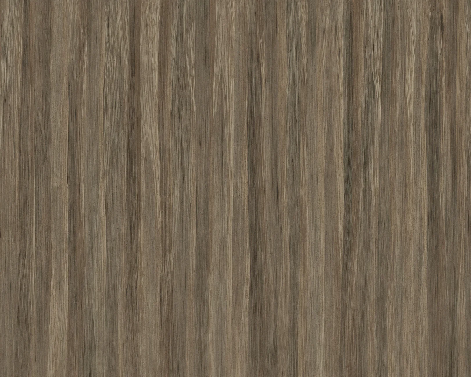 Bornia Alameda Wood