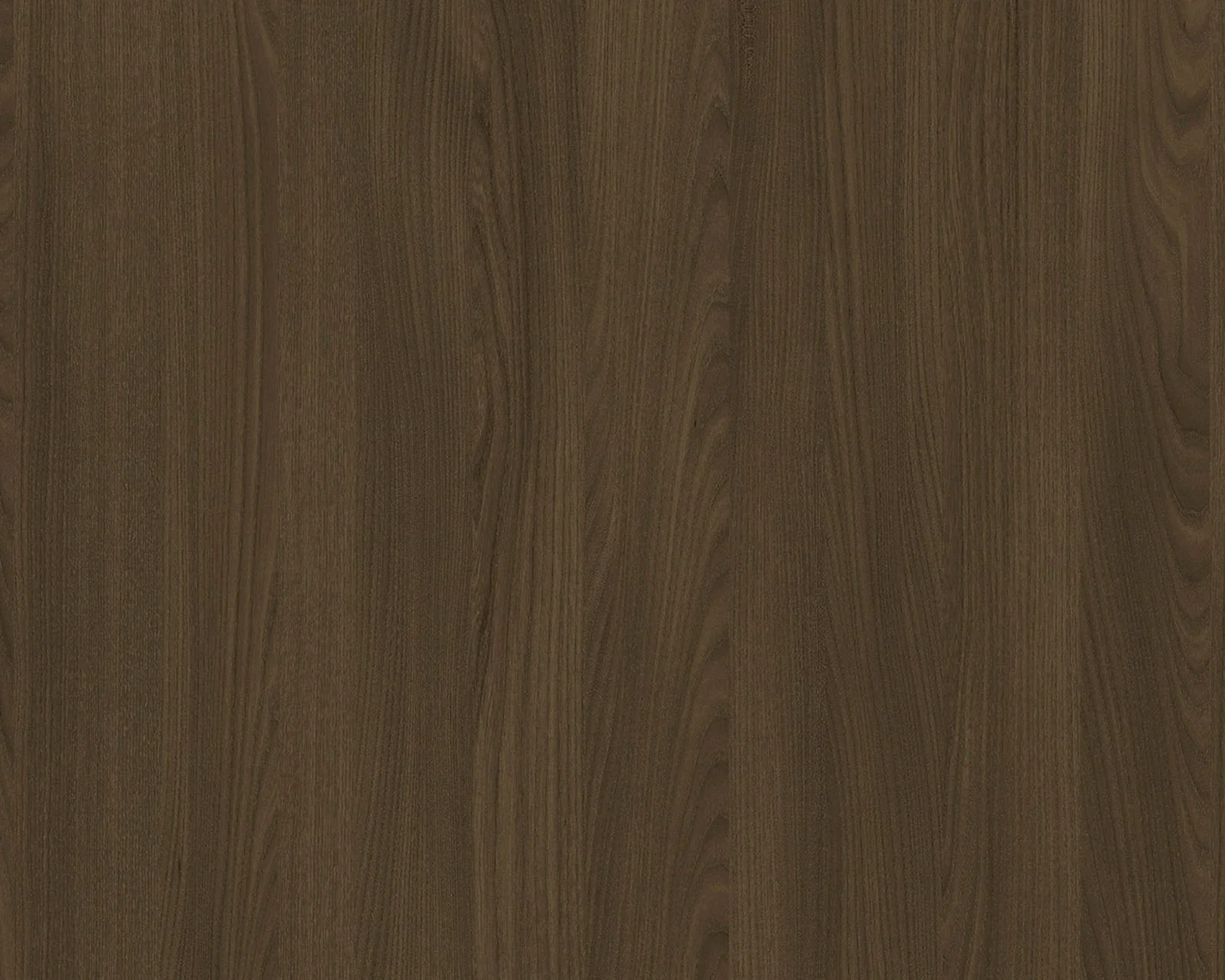Brett Hoffmann Elm
