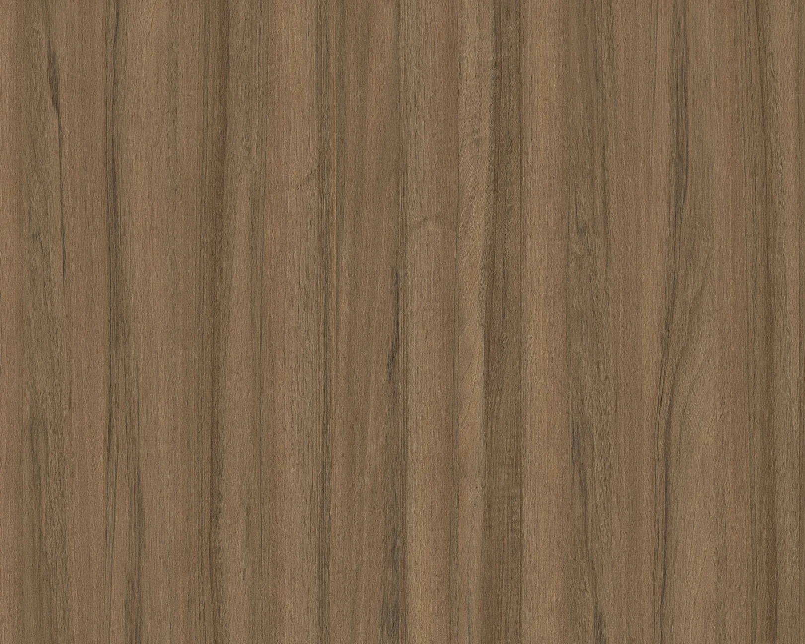 Bruno Seville Walnut