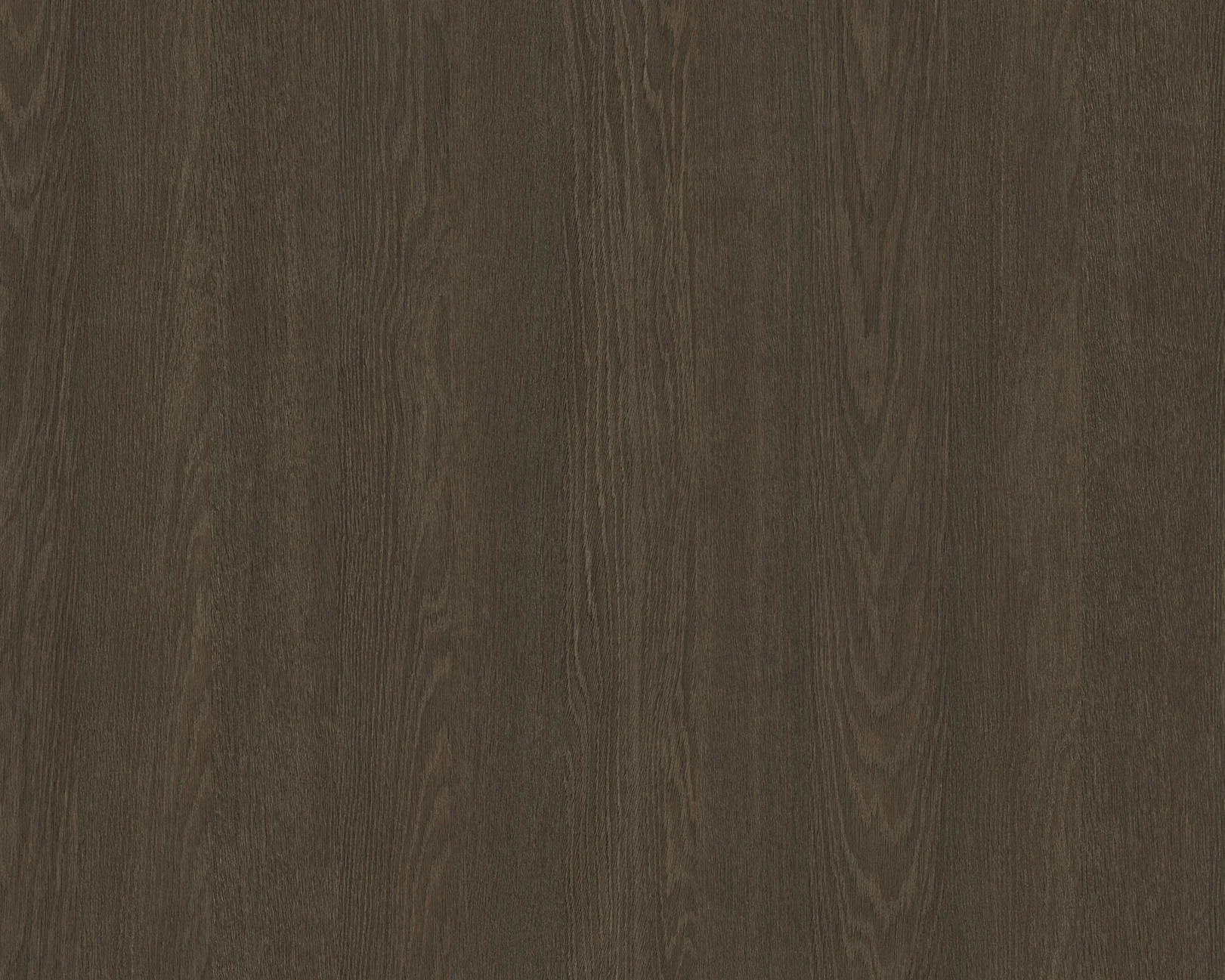 Jiro Shizuoka Oak